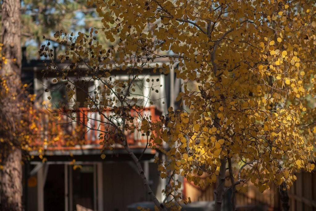 Cozy Cabin I King Bed I Fireplace I Hot Tub I Fenced Yard I Bbq Big Bear City Buitenkant foto